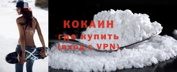 прущие грибы Нея