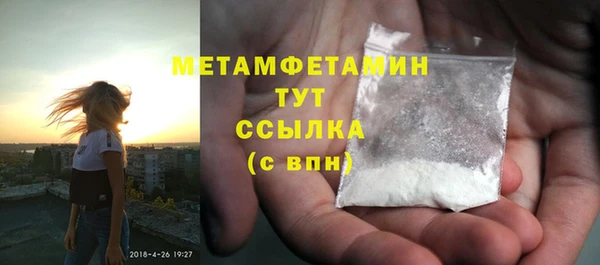 прущие грибы Нея