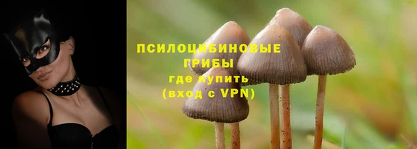 PSILOCYBIN Верхнеуральск