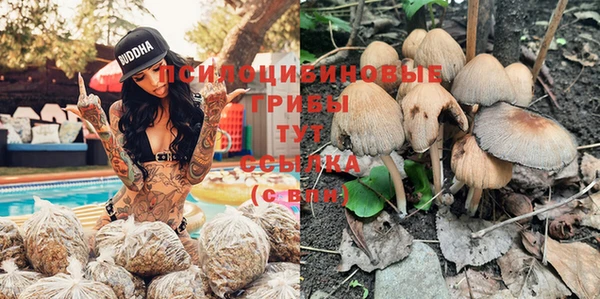 прущие грибы Нея
