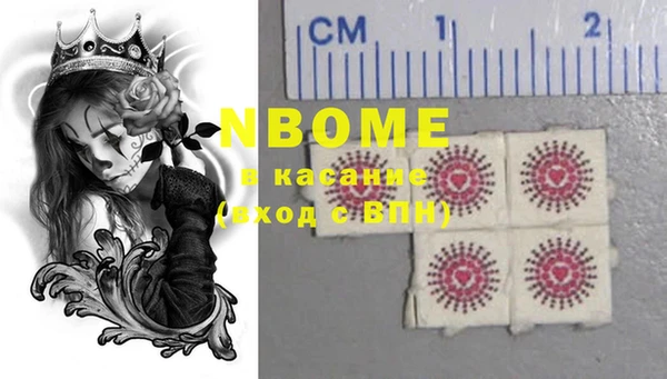 индика Наволоки