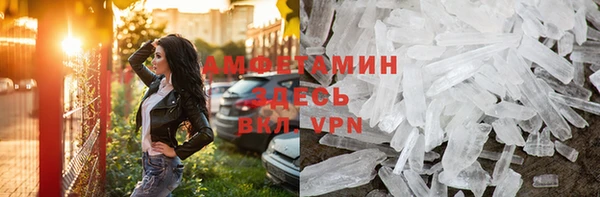 прущие грибы Нея