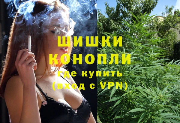прущие грибы Нея