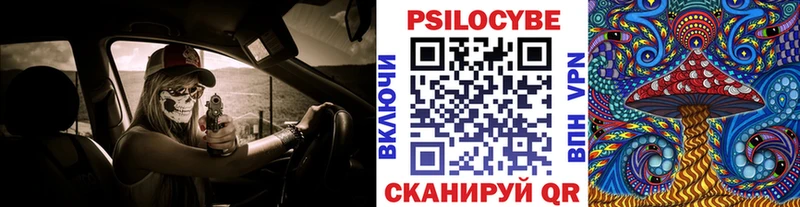 Псилоцибиновые грибы Cubensis  hydra зеркало  даркнет официальный сайт  Новосиль 