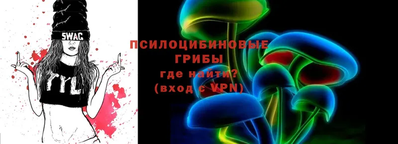 Псилоцибиновые грибы Psilocybine cubensis  Новосиль 